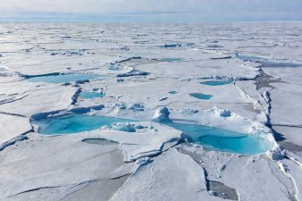 Solidified sheet of multi-year pack ice showing turquoise melt ponds