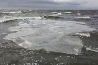 Grease ice floating on choppy sea water, looking like an oily slick across the swell