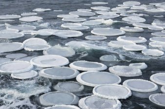 Round pancake ice discs with raised slushy edges knocking together in ocean waves